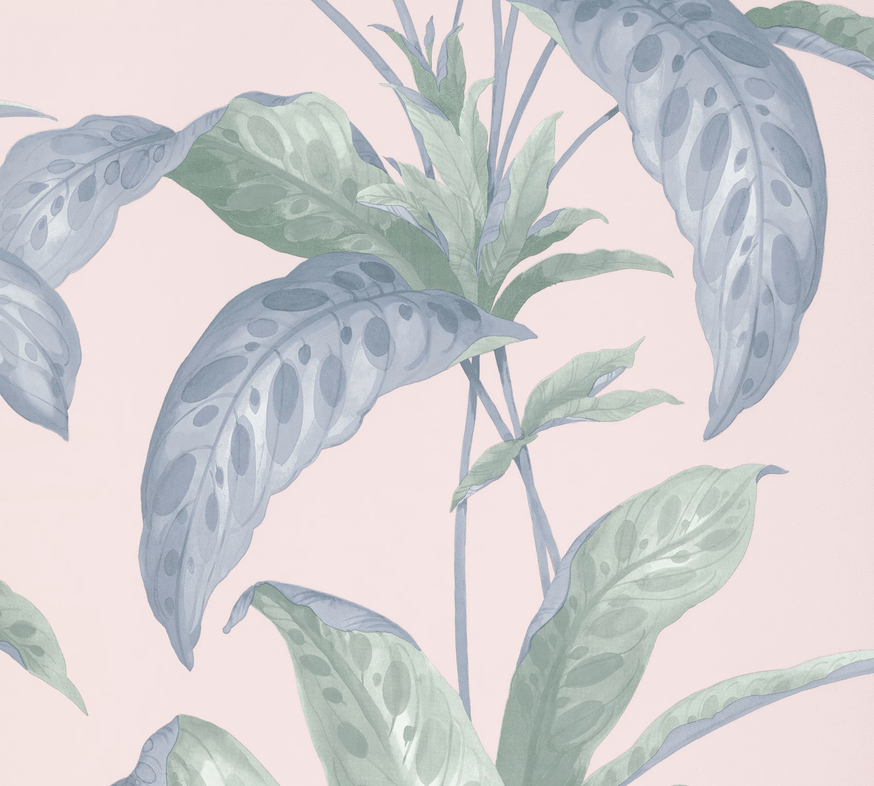 Обои Paint & Paper Library Botany Tropicane Plaster 0360TRPLAST